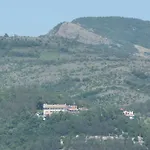 Mg Complex 3*