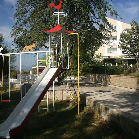 Mg Complex