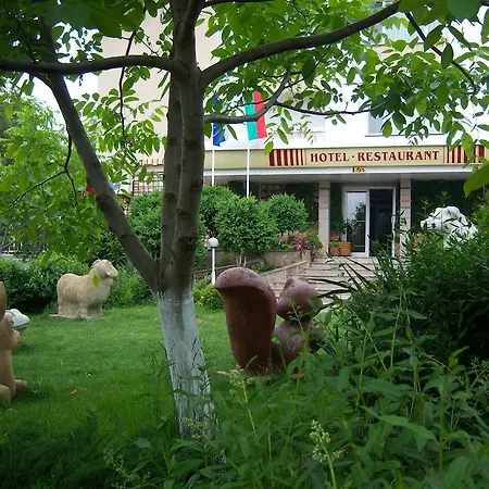 Mg Complex