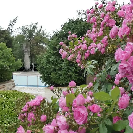 Resort Mg Complex