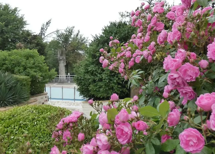 Semesteranläggning (resort) Mg